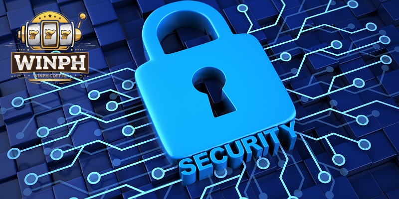 User Rights Under the Privacy Policy