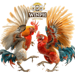 sabong betting winph